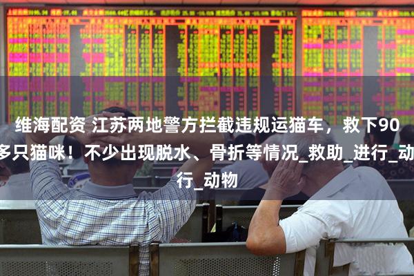维海配资 江苏两地警方拦截违规运猫车，救下900多只猫咪！不少出现脱水、骨折等情况_救助_进行_动物